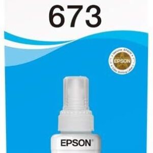 Epson T673